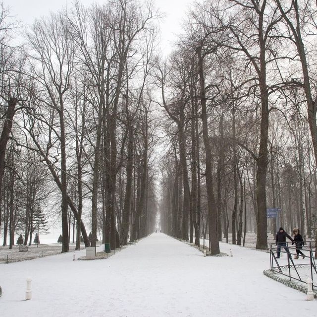 พระราชวังฤดูร้อน ในฤดูหนาว Peterhof st.peterburg