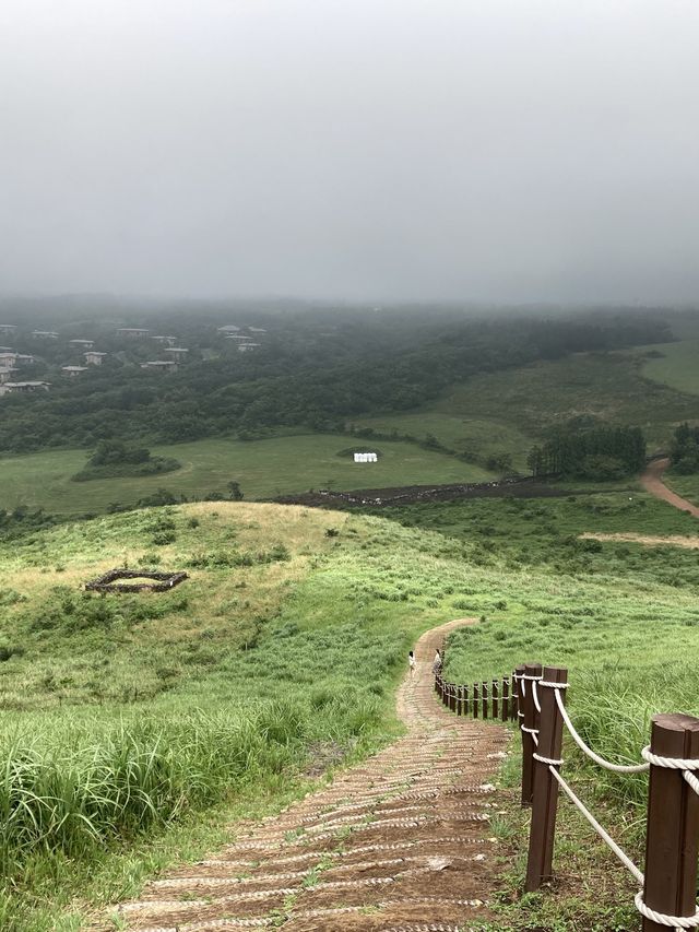 제주도 서쪽 여행,애월 새별오름