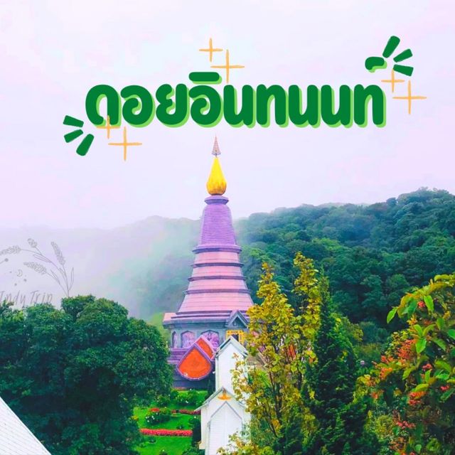 ✨ฟินเกินต้าน ลุ้นเพลินตลอดทาง กับอินทนนท์✨