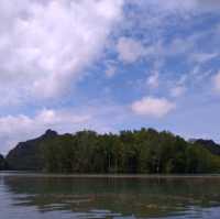 Langkawi Mangrove Kayaking Experience 