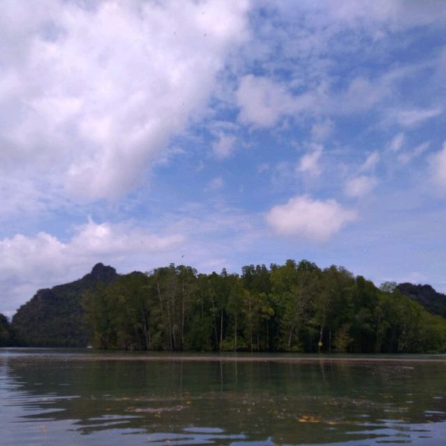 Langkawi Mangrove Kayaking Experience 