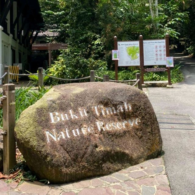 火車迷必到Rail Corridor@武吉知馬自然保護區