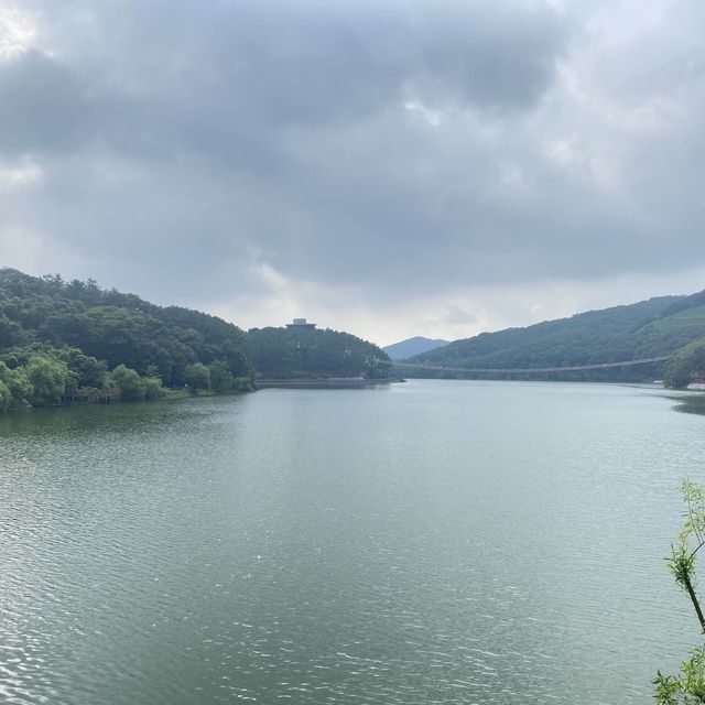맑은 강과 다리의 조화가 멋진 파주 출렁다리✨