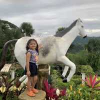 Beautiful Sirao - Garden of the South!