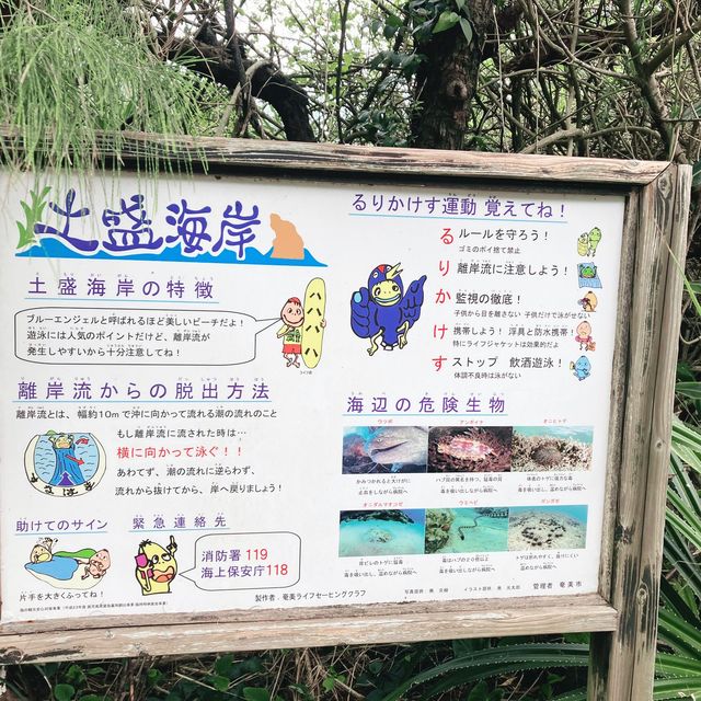 【奄美大島　土盛海岸】ブルーエンジェル🌊✨