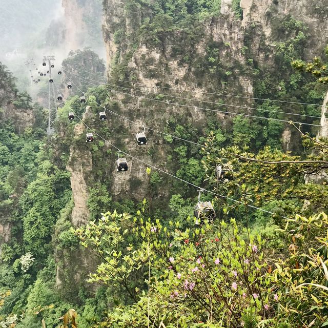 Avatar Mountains, Zhangjiajie, China