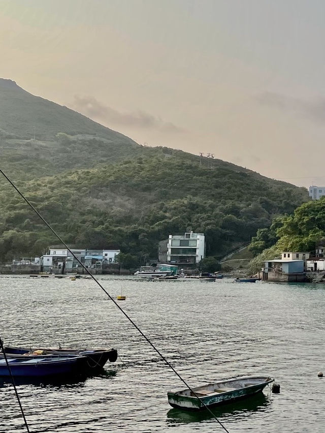 海鮮島海鮮酒家｜西貢布袋澳一日遊