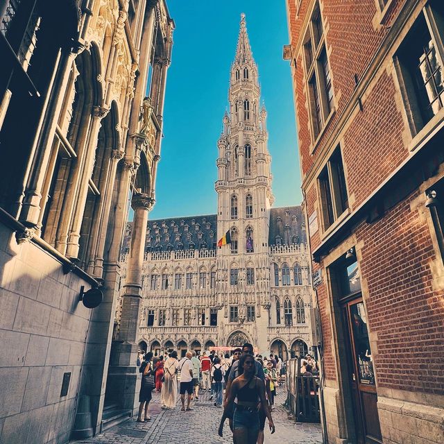 AMAZING BRUSSELS  🇧🇪 