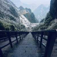 road to the Zhangjiajie 