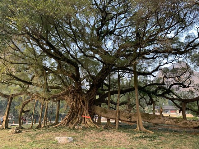 Amazing Yangshuo 