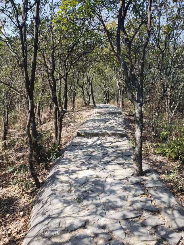 Hike with views to die for