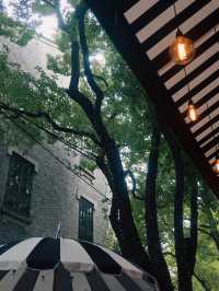 Delicious Il Teatro Italiano, Shanghai🍕🍷
