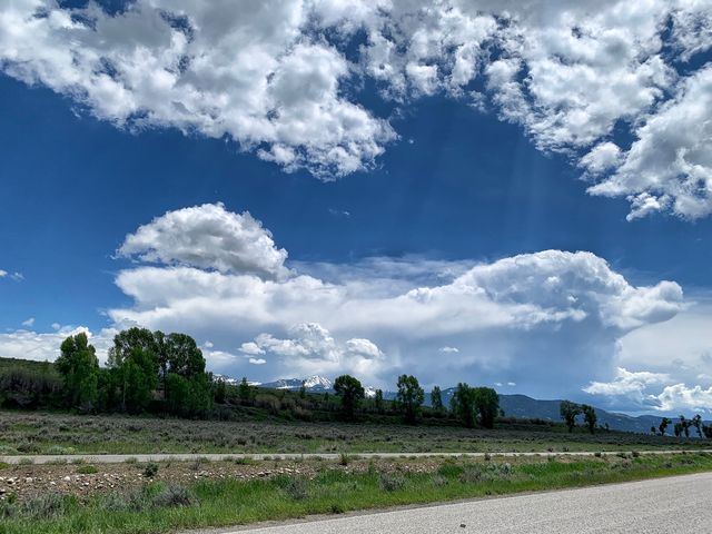 Rush out of Yellowstone.