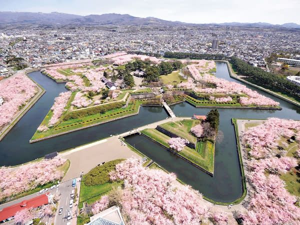 【2024日本櫻花季】北海道人氣賞櫻景點推介：札幌圓山公園、函館五稜郭公園、小樽手宮公園 | 北海道