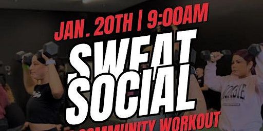 Sweat Social | Brizzfit training