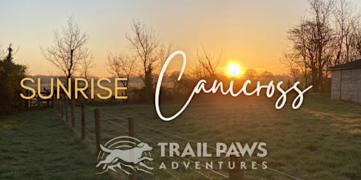 Sunrise Canicross | Therfield Heath, Baldock Road, Royston, UK