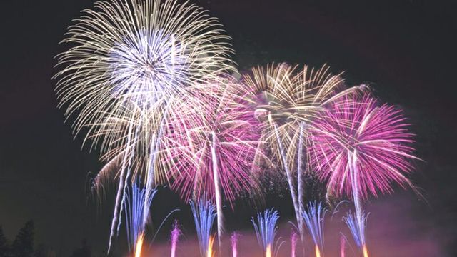 Edogawa Fireworks Festival: Hanabi Festivals (Fireworks Festival) 2024 | Edogawa Riverside