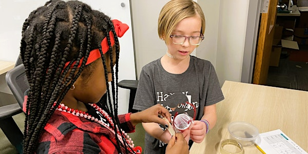 STEM Superheroes: Unleash the Power of STEM!  | Grades 4-6 | Van Andel Institute for Education