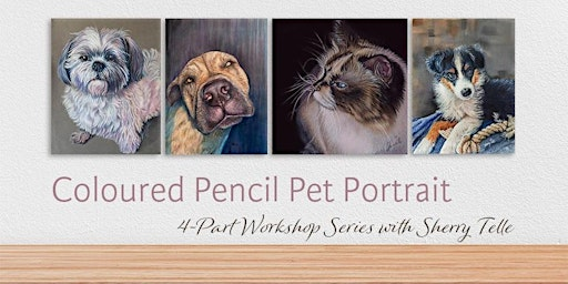 4 part Coloured pencil Pet Portrait workshop | Kensington Art Supply & Instruction