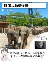 愛知県で外せないスポット7選