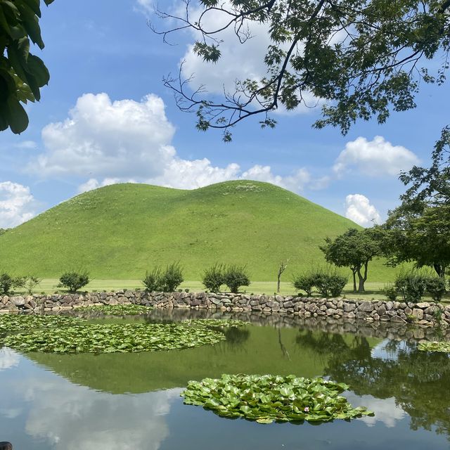 파릇파릇한 경주 대릉원