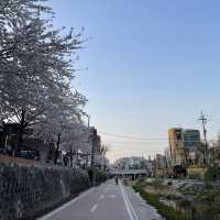 사계절 언제든 걷기 좋은 성북천 산책로