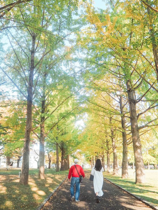 茨城県立歴史館