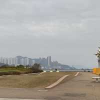 鬧市中的寧靜地方｜啟德跑道寵物共享公園