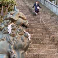 愛宕神社の出世の階段