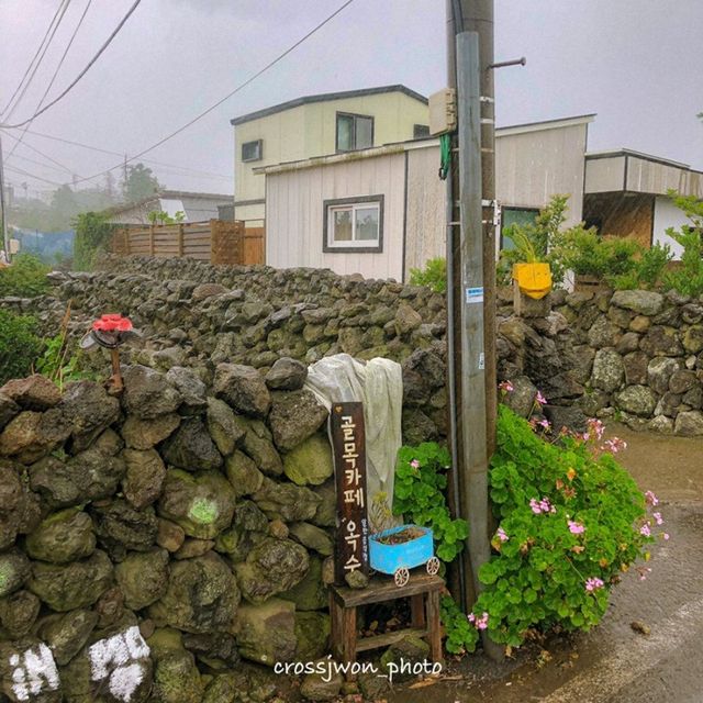 제주도의 구옥을 개조한 이색 카페, 골목카페 옥수!