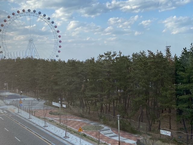 속초해변에 위치한 속초아이 포토존 카페 :)