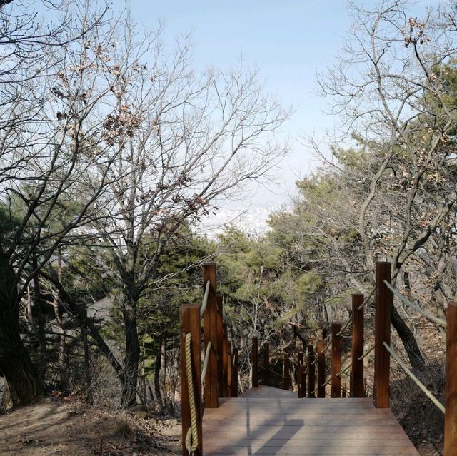 대전 등산 보문산 