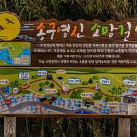 [거제] 야경산책으로 장승포 송구영신소망길