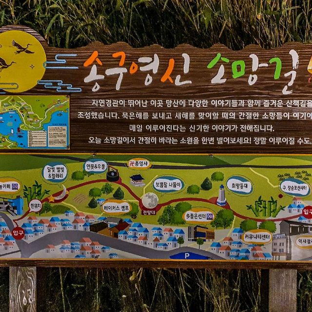 [거제] 야경산책으로 장승포 송구영신소망길