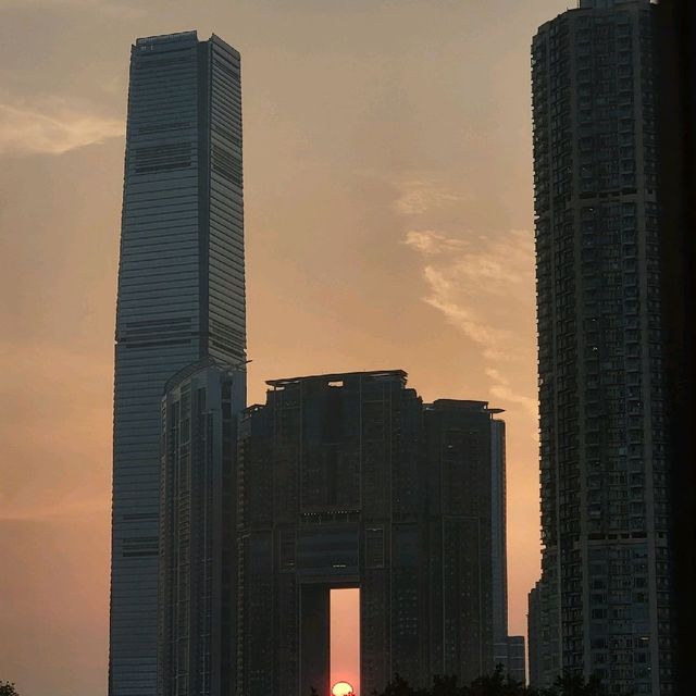 盡享尖沙咀夜生活的美麗華酒店🌃