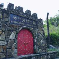挑戰「針、草、帽」行山路線！