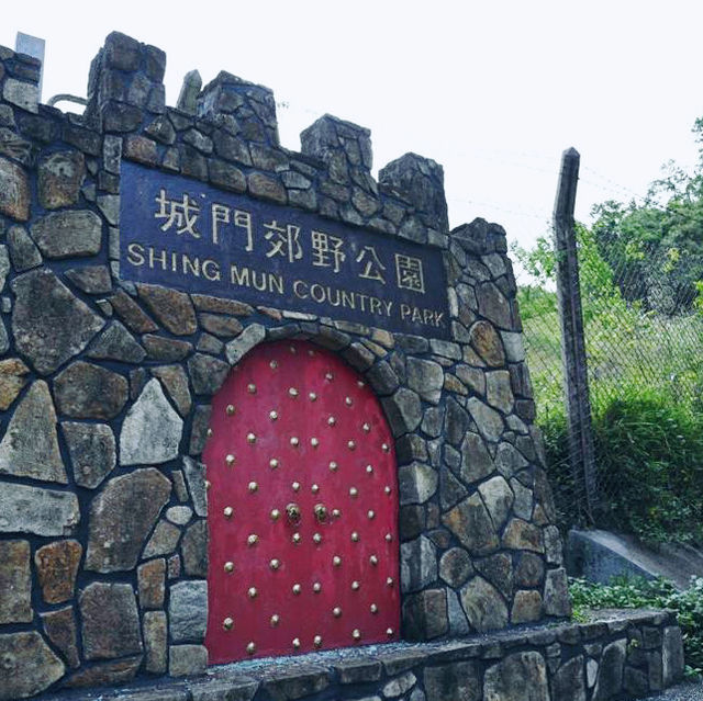 挑戰「針、草、帽」行山路線！