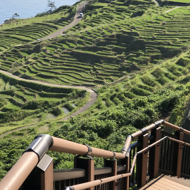 《日本-輪島市》堅持要去看的「梯田之美」
