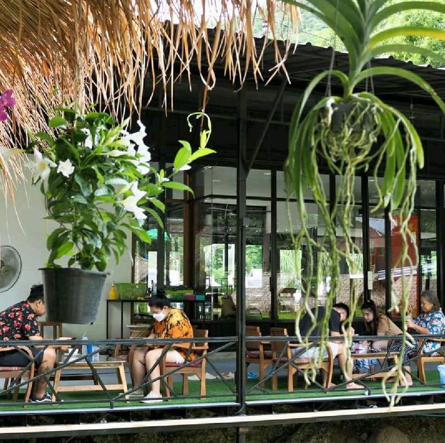 ทานอาหารกลางวัน ร้านฮิมน้ำเชียงใหม่ 
