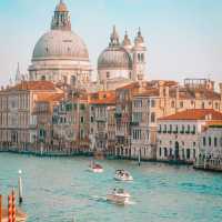 Ponte de rialto Life 🐬🐬