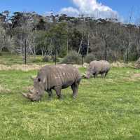 Werribee Open Range Zoo