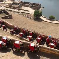 Meticulous Architecture of Amer Fort