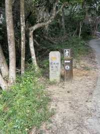 流水響水塘-行山新手也能輕鬆完成的路線