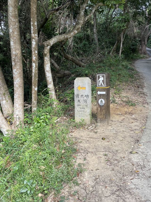 流水響水塘-行山新手也能輕鬆完成的路線