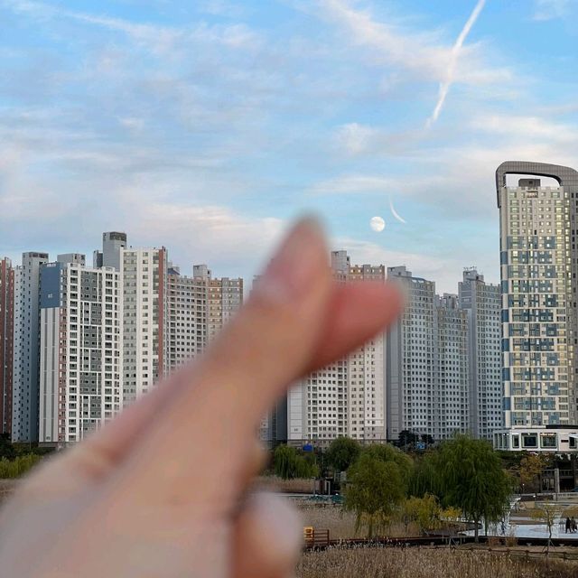 갈대 사이 인생샷 명소! 배곧 생명공원