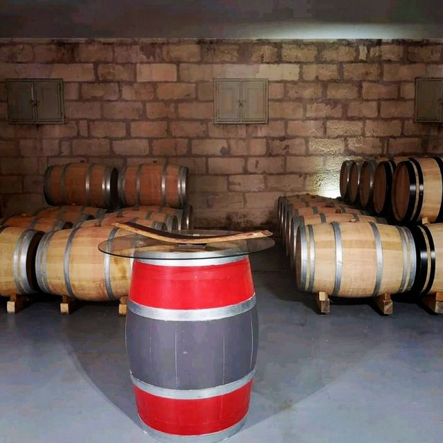 Saint Emilion Winery Tour Visit