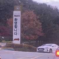 대통령 별장 청주 청남대에서 가을 꽃구경