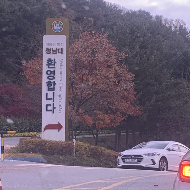 대통령 별장 청주 청남대에서 가을 꽃구경 대통령 별장 청주 청남대에서 가을 꽃구경