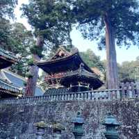 ศาลเจ้านิกโก้โทโชกุ⛩️