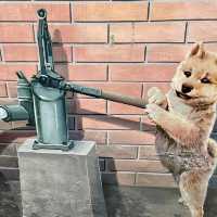 彰化忠權社區 🖌 有各種可愛的彩繪🖍狗狗🐶與你合照📷